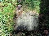 image of grave number 583809